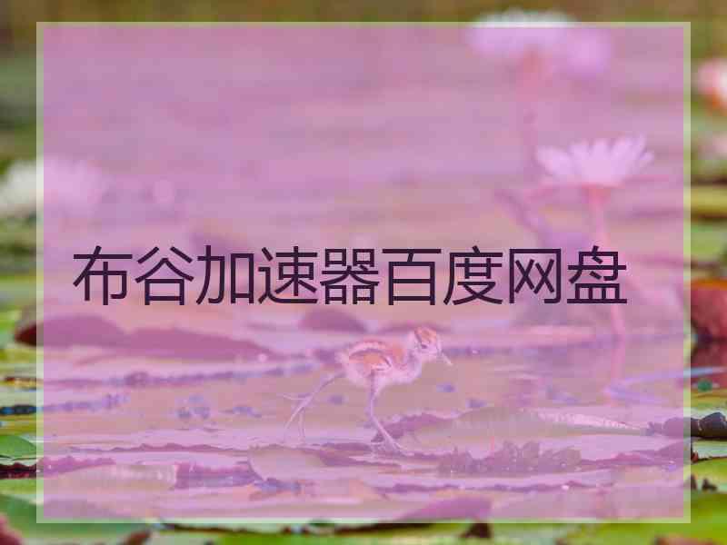 布谷加速器百度网盘