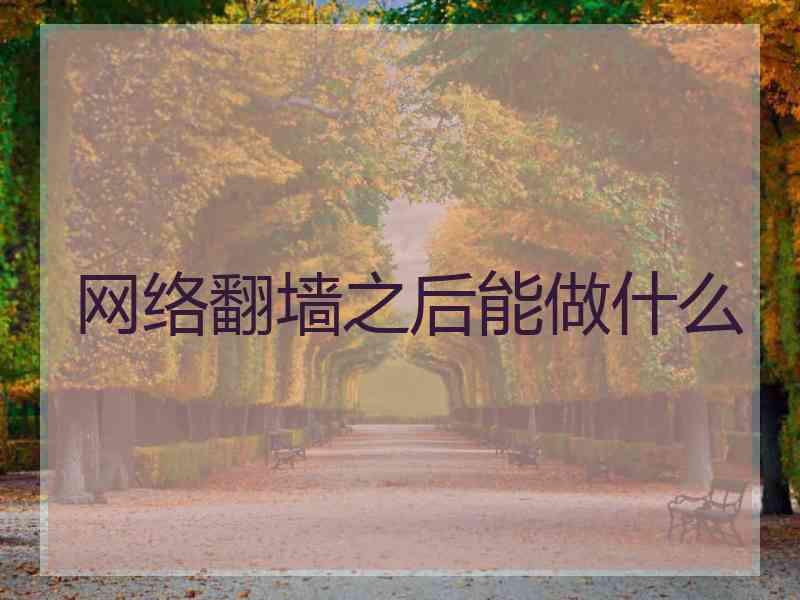 网络翻墙之后能做什么