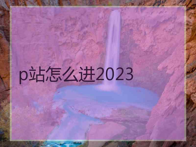 p站怎么进2023