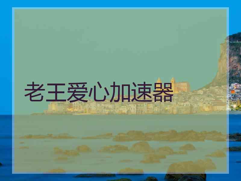 老王爱心加速器