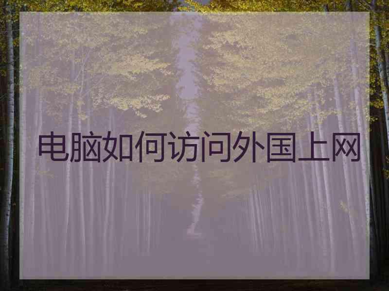电脑如何访问外国上网
