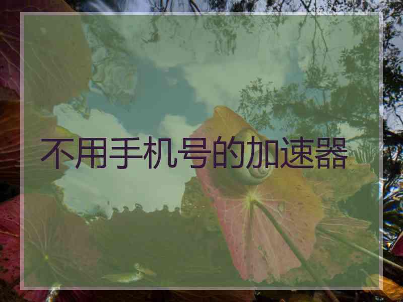 不用手机号的加速器