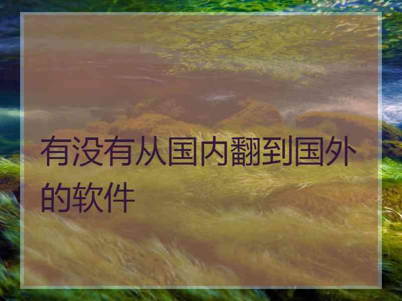 有没有从国内翻到国外的软件