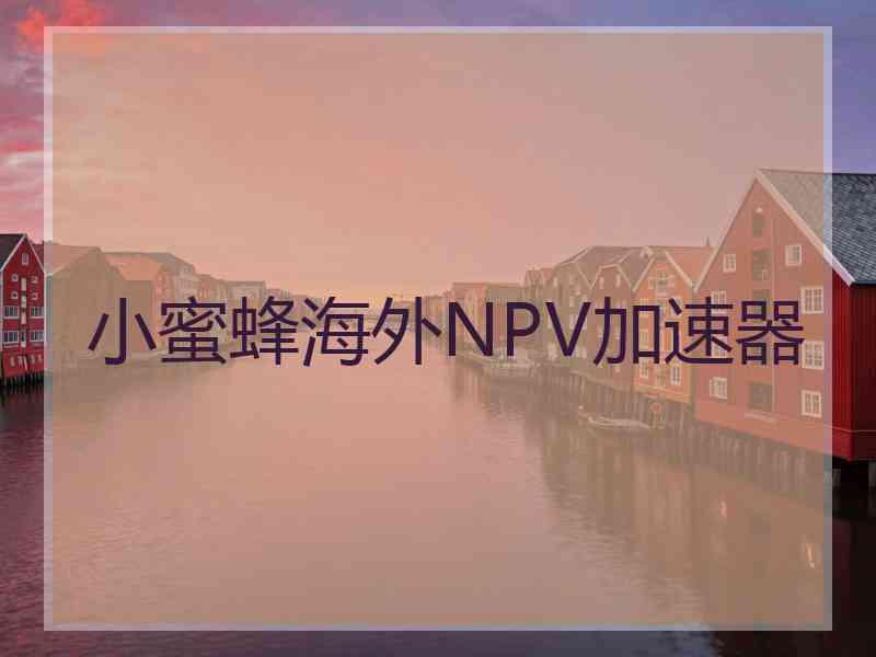 小蜜蜂海外NPV加速器
