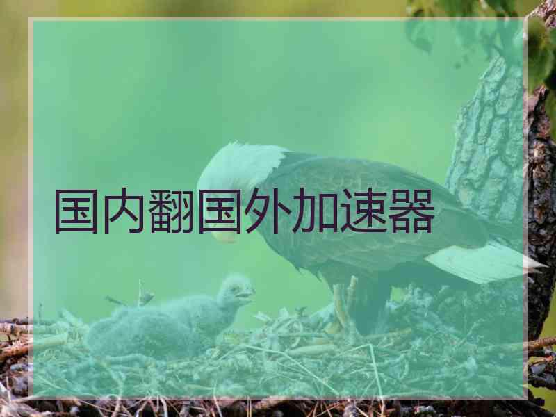 国内翻国外加速器