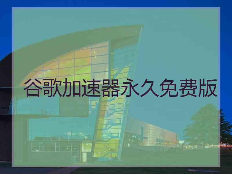 谷歌加速器永久免费版