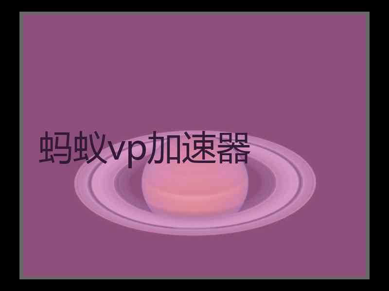 蚂蚁vp加速器