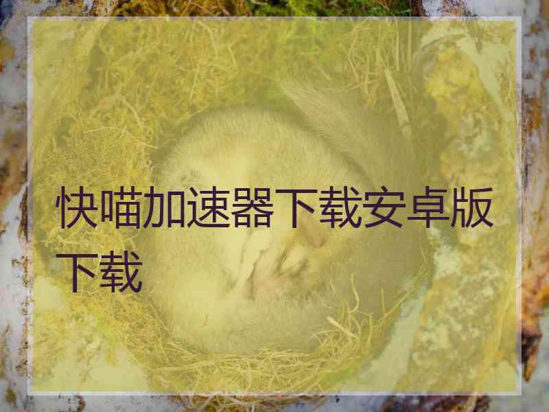 快喵加速器下载安卓版下载