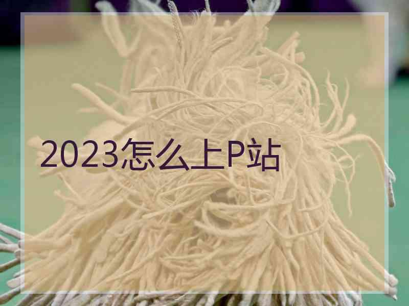 2023怎么上P站