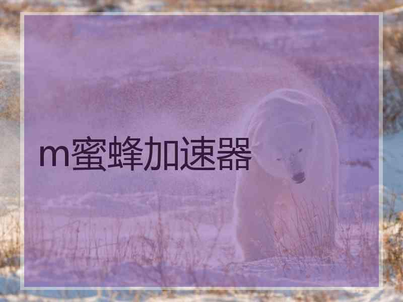 m蜜蜂加速器