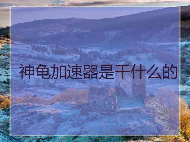 神龟加速器是干什么的
