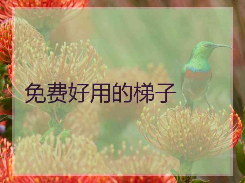 免费好用的梯子