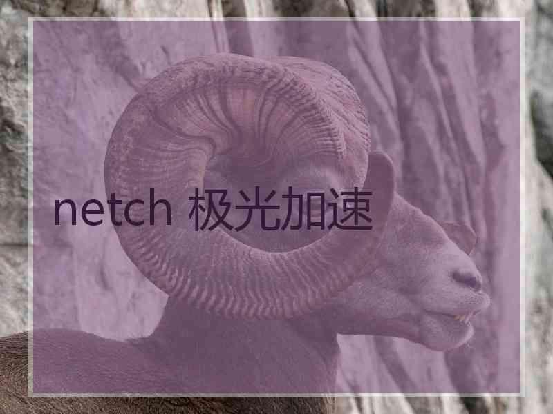netch 极光加速