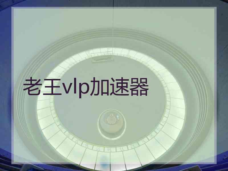 老王vlp加速器