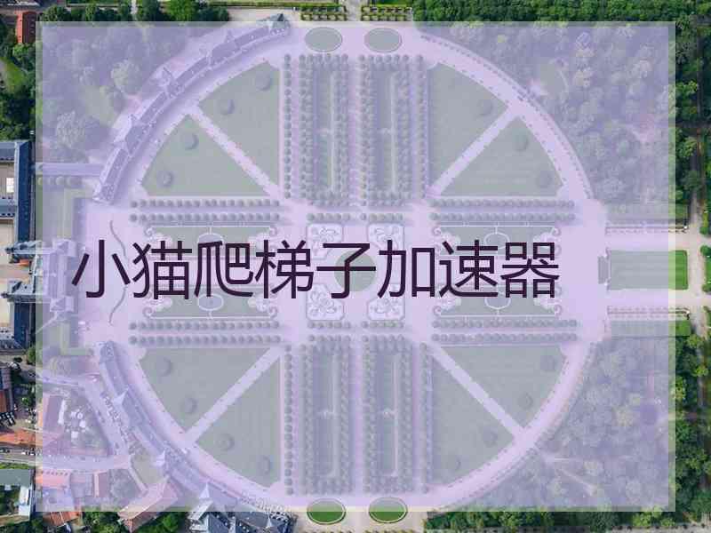 小猫爬梯子加速器
