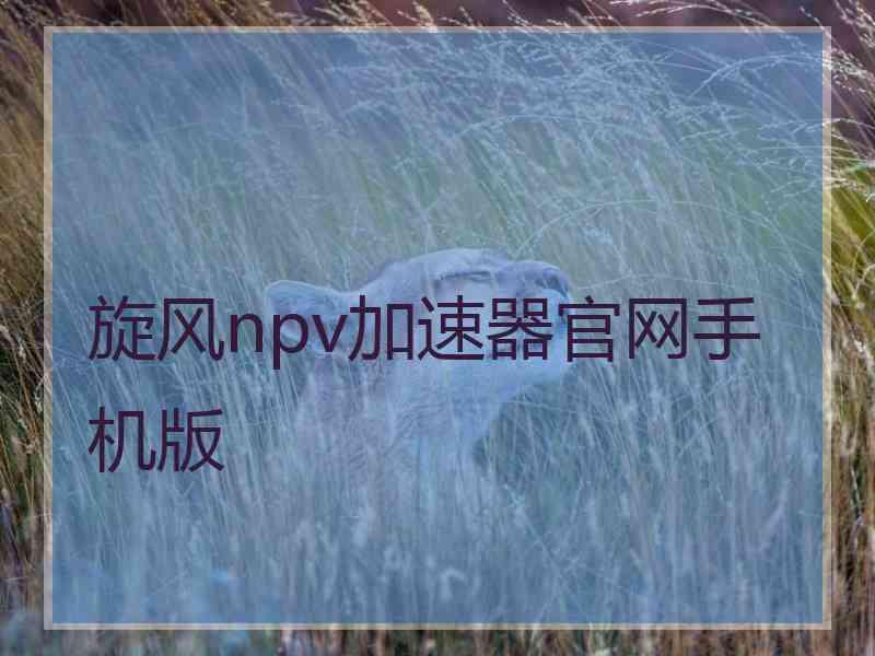 旋风npv加速器官网手机版