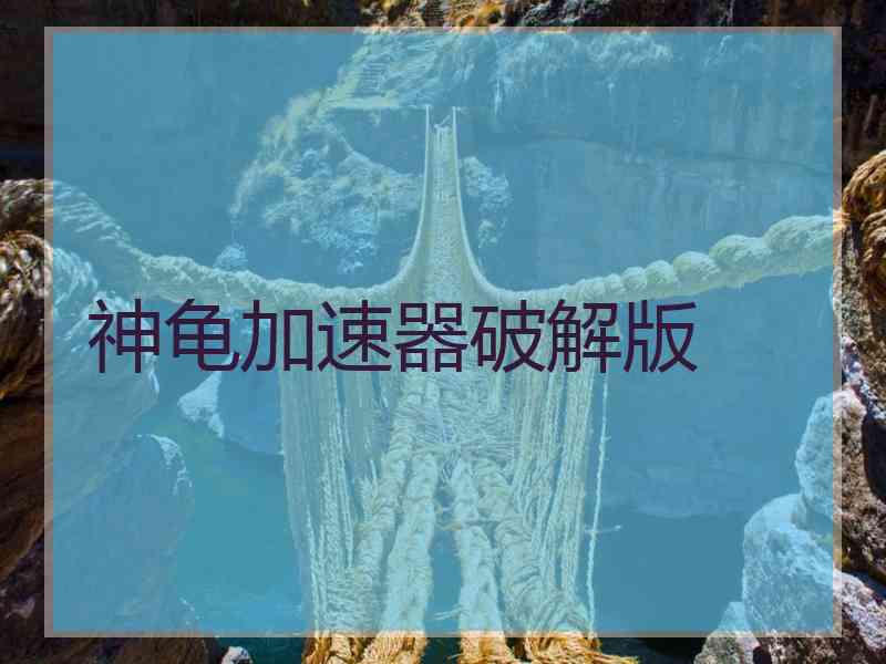 神龟加速器破解版