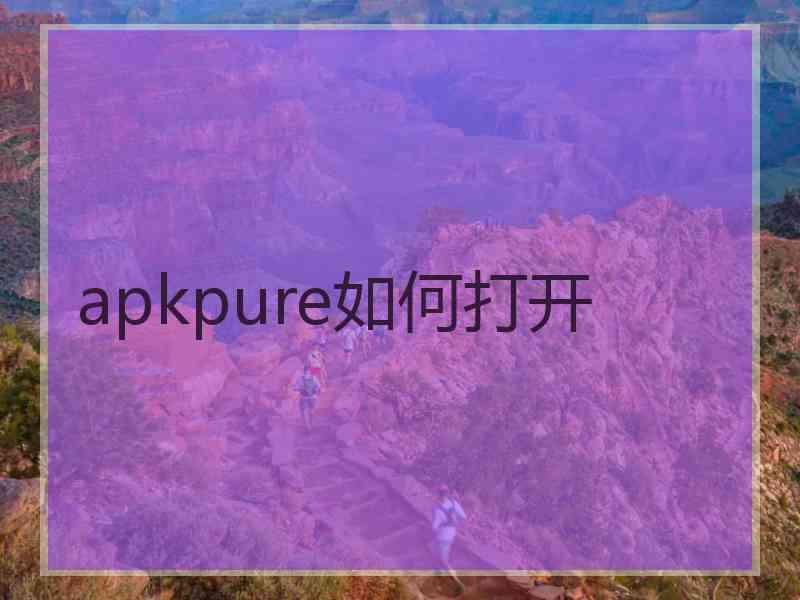 apkpure如何打开