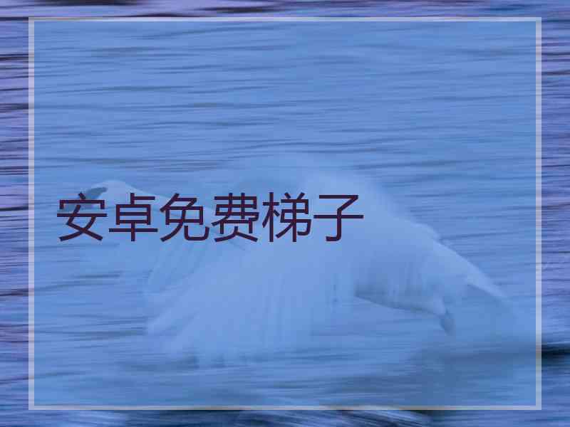 安卓免费梯子