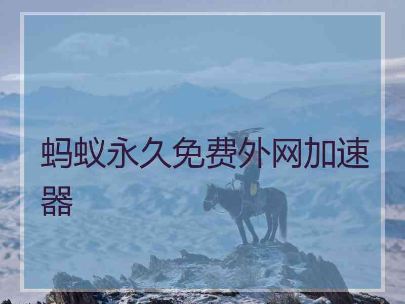 蚂蚁永久免费外网加速器