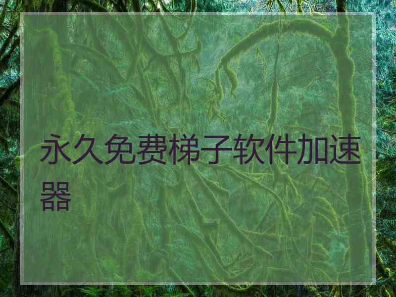 永久免费梯子软件加速器