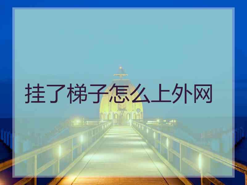 挂了梯子怎么上外网