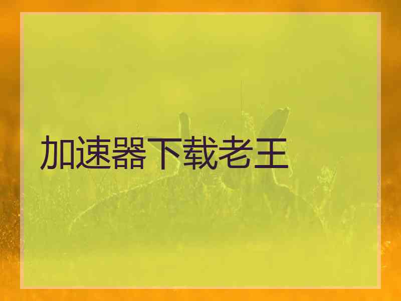 加速器下载老王
