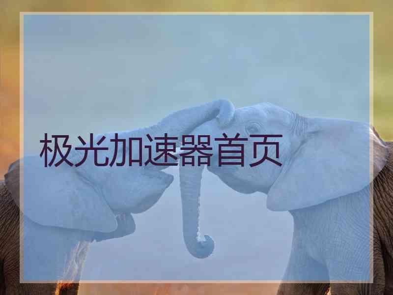 极光加速器首页
