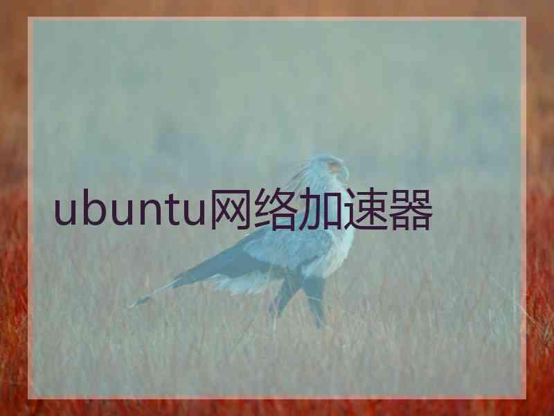 ubuntu网络加速器