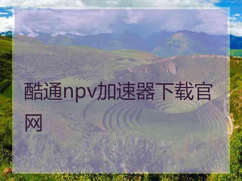 酷通npv加速器下载官网