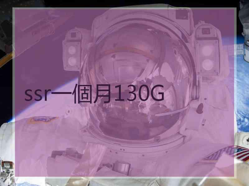 ssr一個月130G