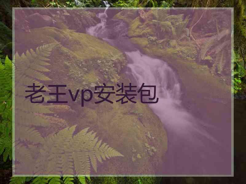 老王vp安装包