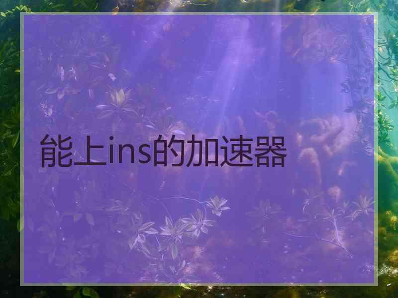 能上ins的加速器