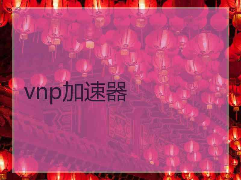 vnp加速器