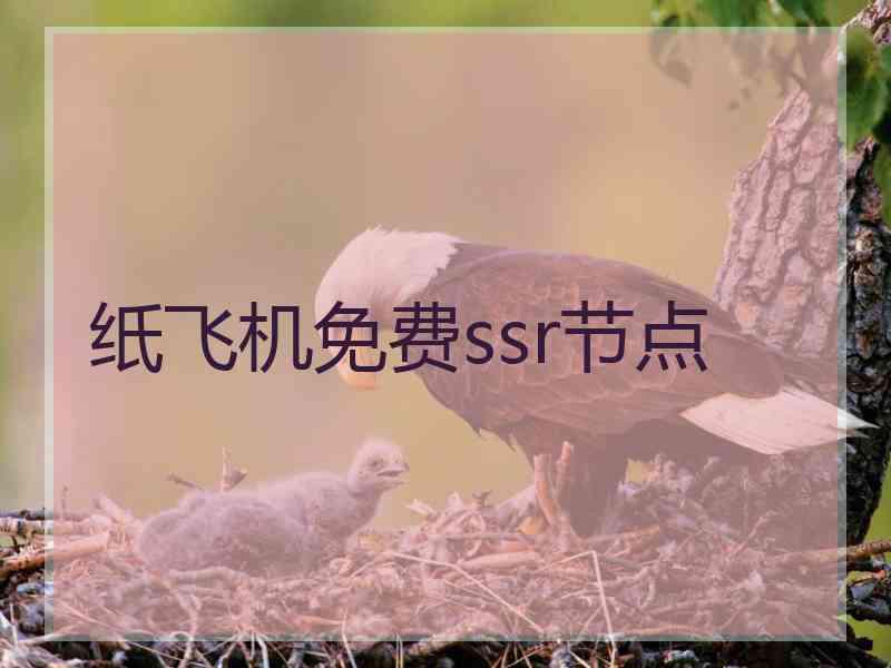 纸飞机免费ssr节点