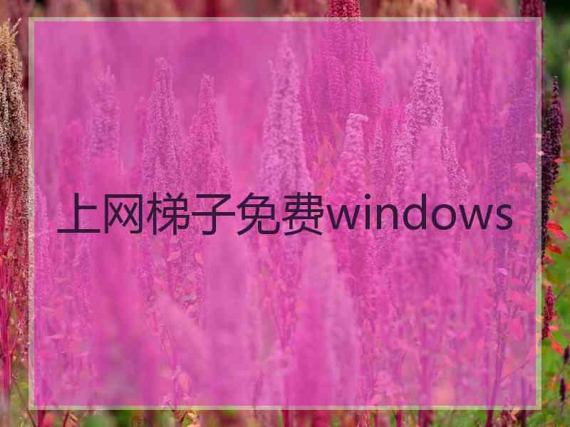 上网梯子免费windows