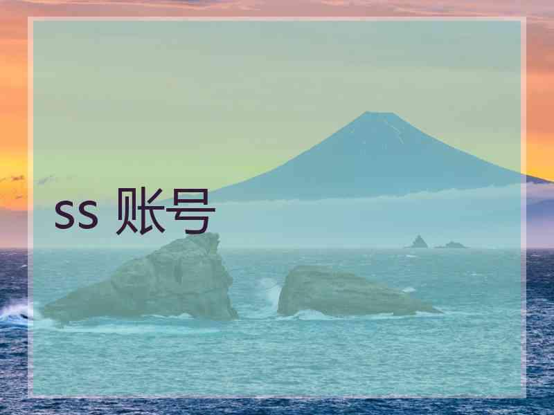 ss 账号
