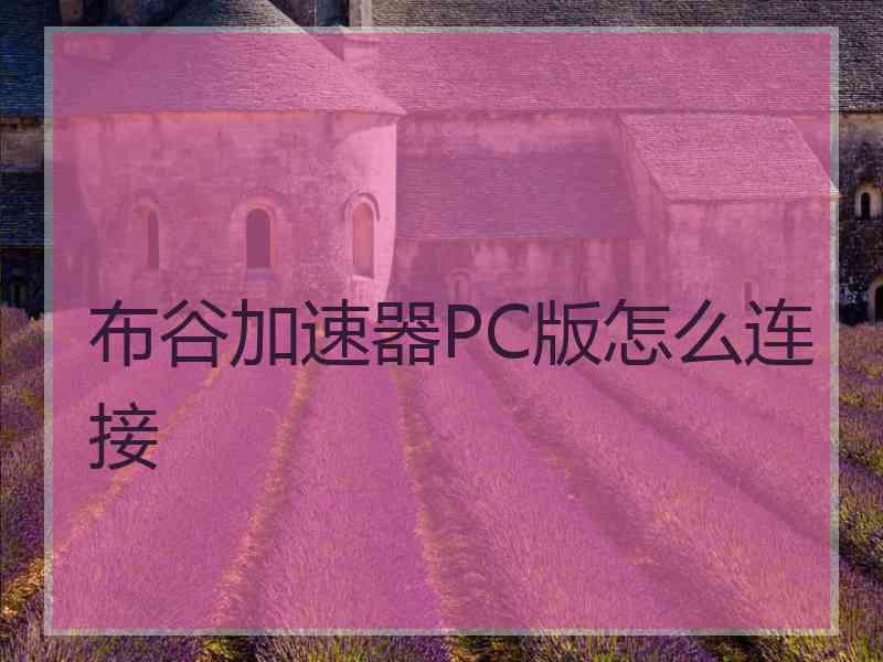 布谷加速器PC版怎么连接