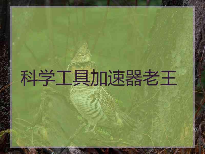 科学工具加速器老王