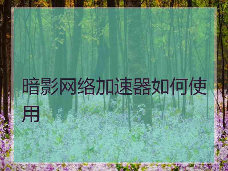 暗影网络加速器如何使用