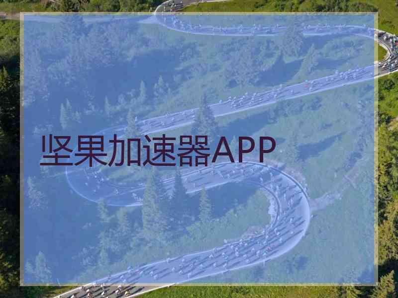 坚果加速器APP