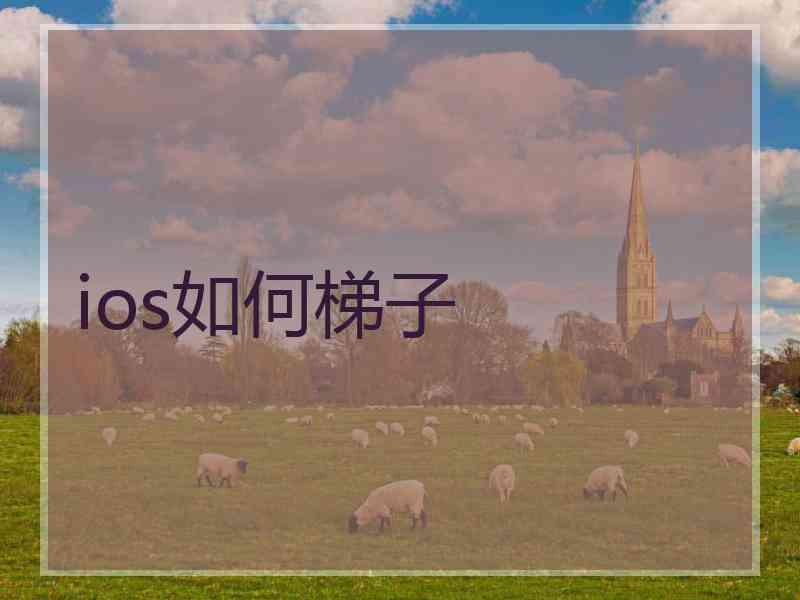 ios如何梯子