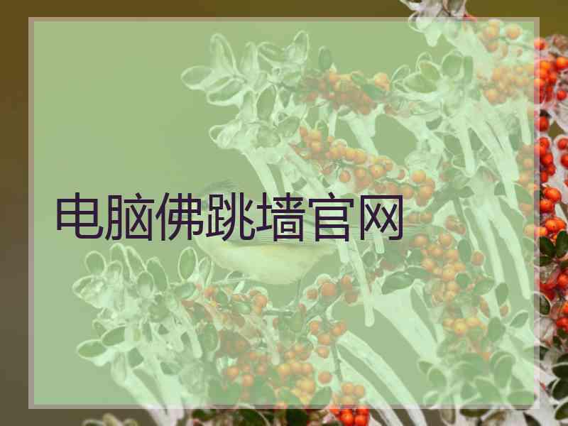 电脑佛跳墙官网