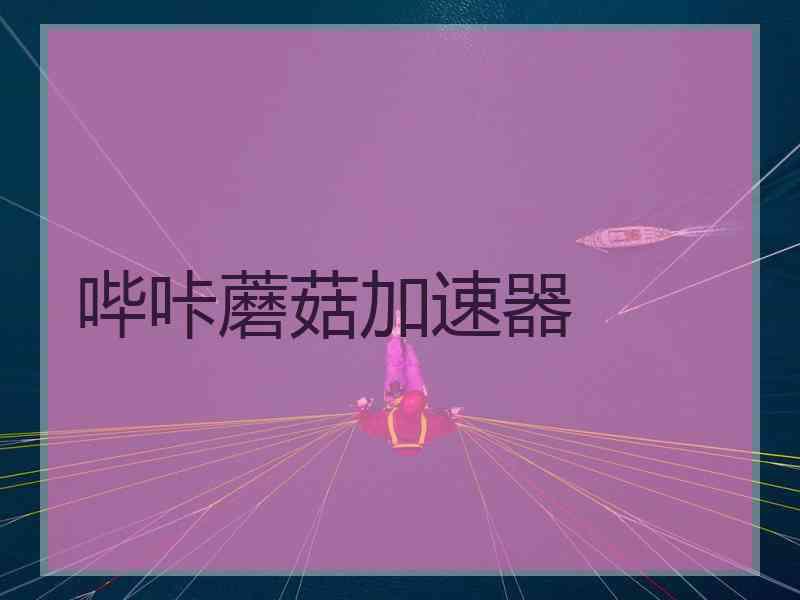 哔咔蘑菇加速器