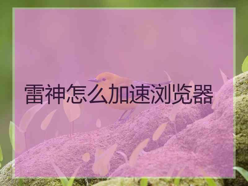 雷神怎么加速浏览器
