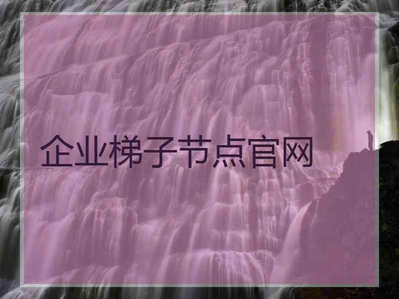 企业梯子节点官网