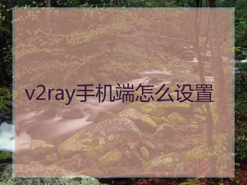 v2ray手机端怎么设置