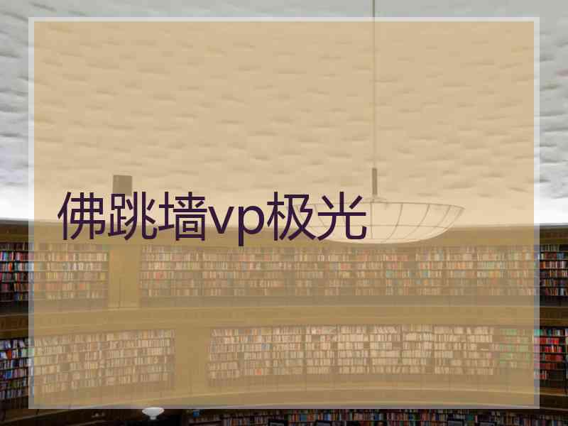 佛跳墙vp极光