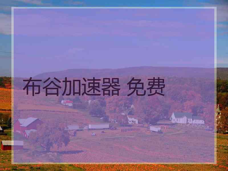 布谷加速器 免费