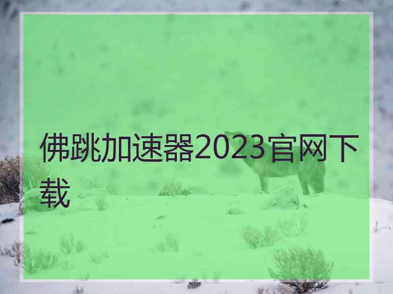 佛跳加速器2023官网下载